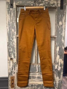 High-Rise Skinny Pants in Rust